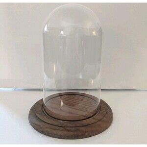 Vintage Glass Dome Display Cloche Bell Jar with Wooden Base 7" x 4"